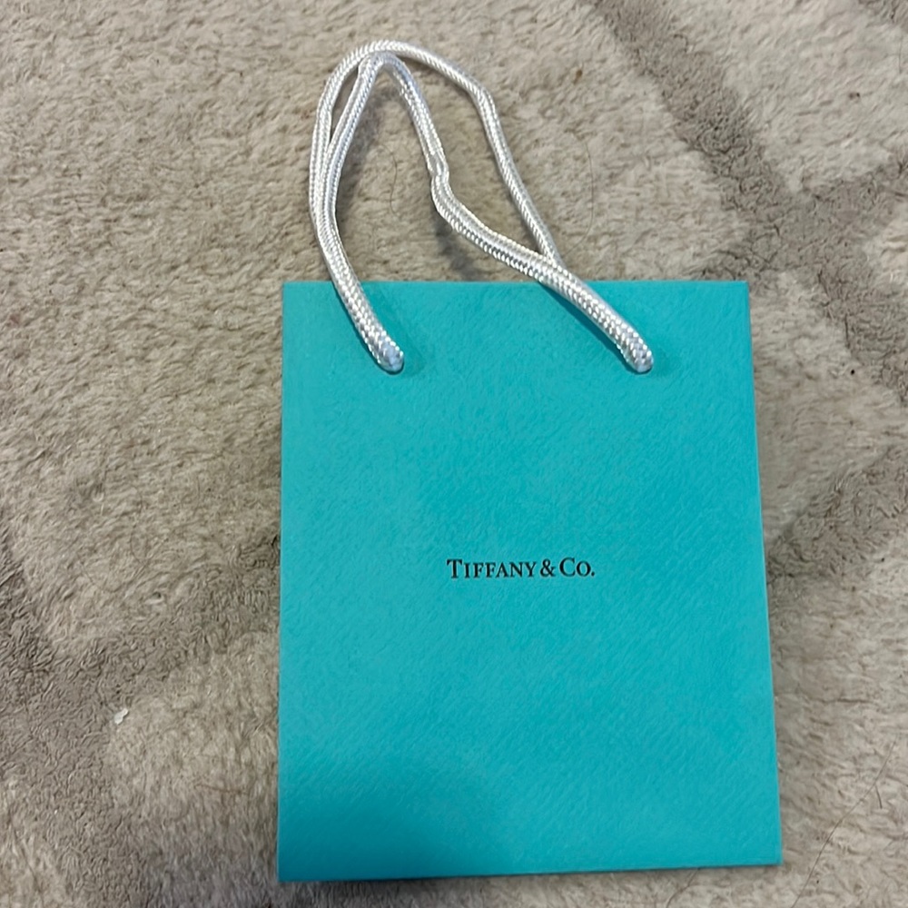 TIFFANY & CO Bag